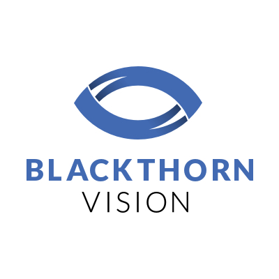 Blackthorn Vision Разработка ПО