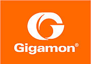 GIGAMON GigaVUE-FM