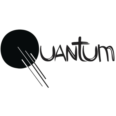 Quantum Software Development