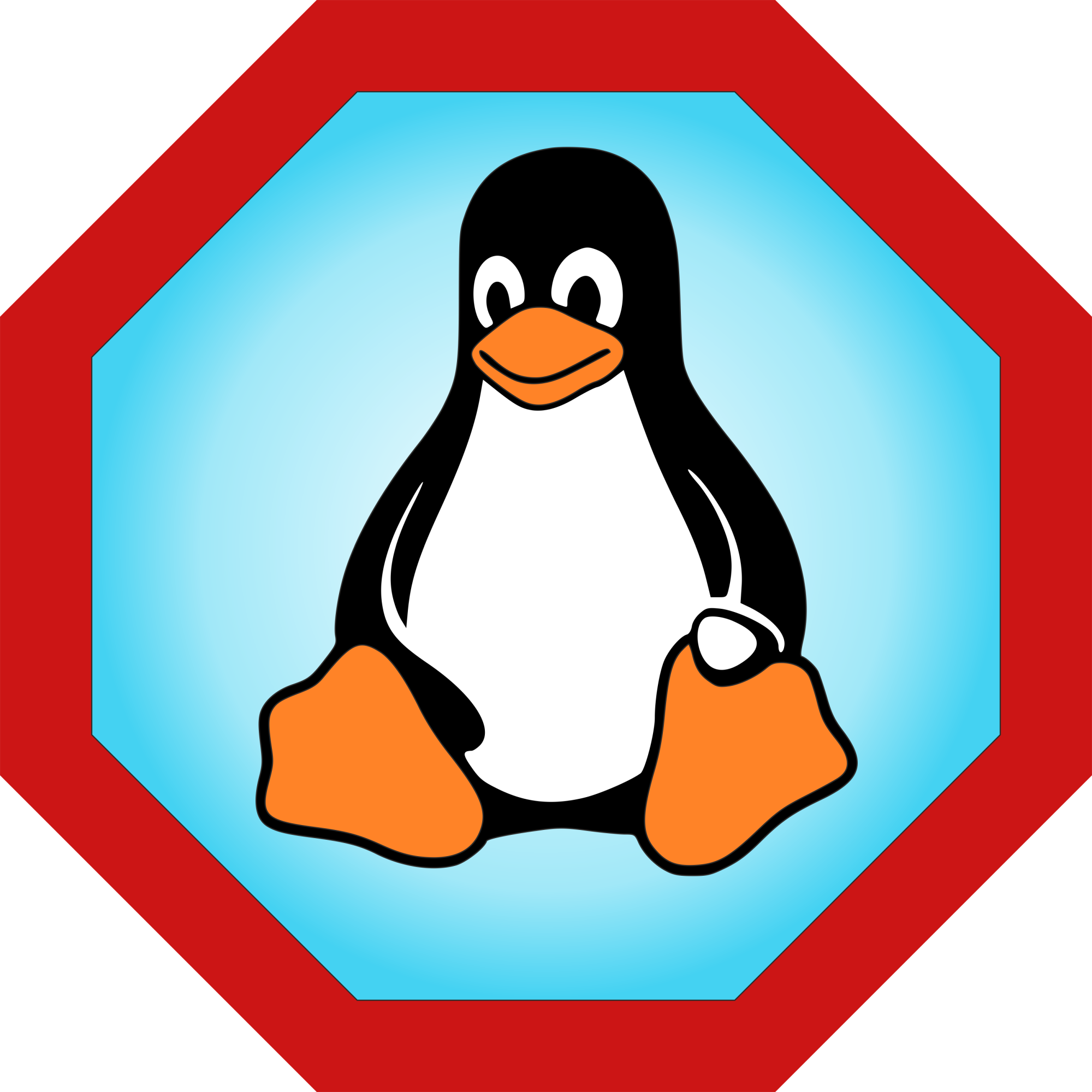 category icon