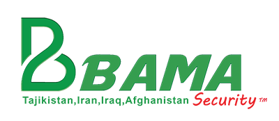 Bama Security logo