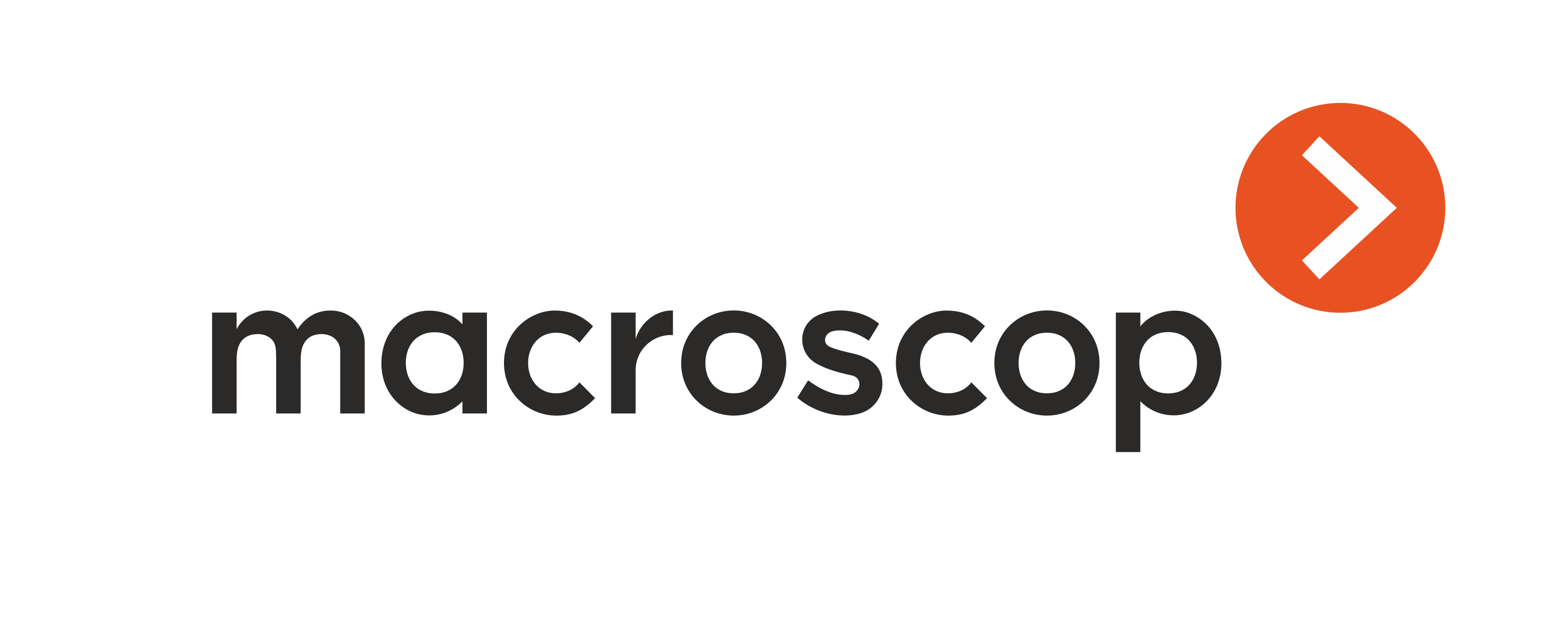 Macroscop logo