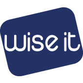 Wise IT logo